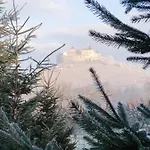 Guest house Andras 3*